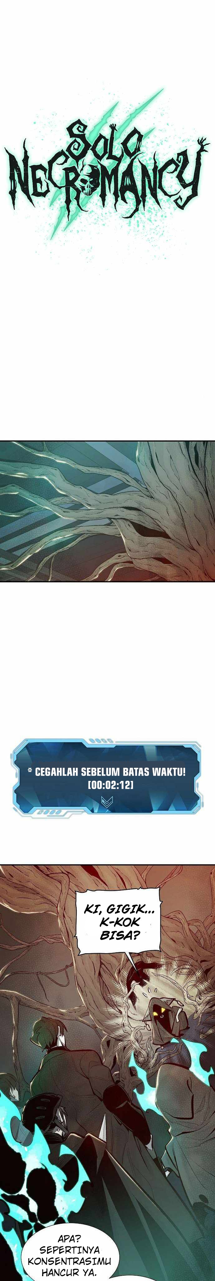 Alone Necromancer (Solo Necromancer) Chapter 29