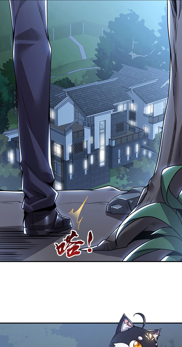 Cultivation Record Of The Undead King (Undead King’s Immortal Cultivation) Chapter 6.5