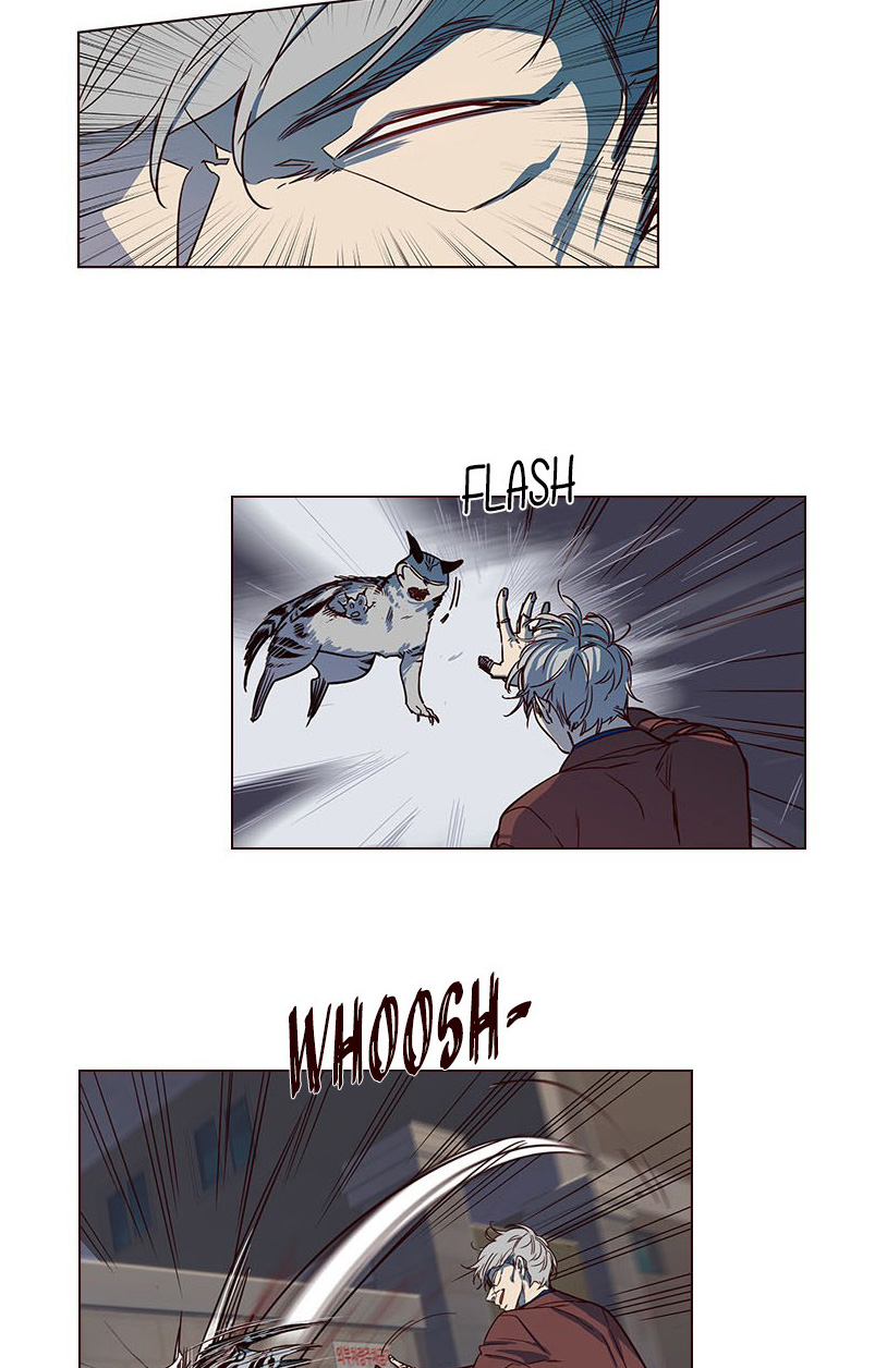 Eleceed Chapter 5