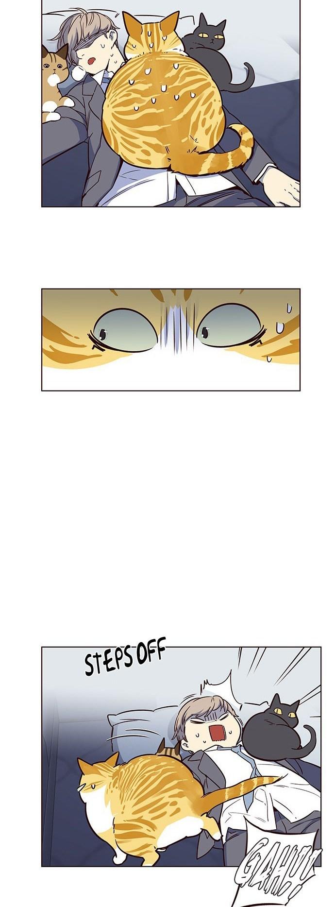 Eleceed Chapter 8