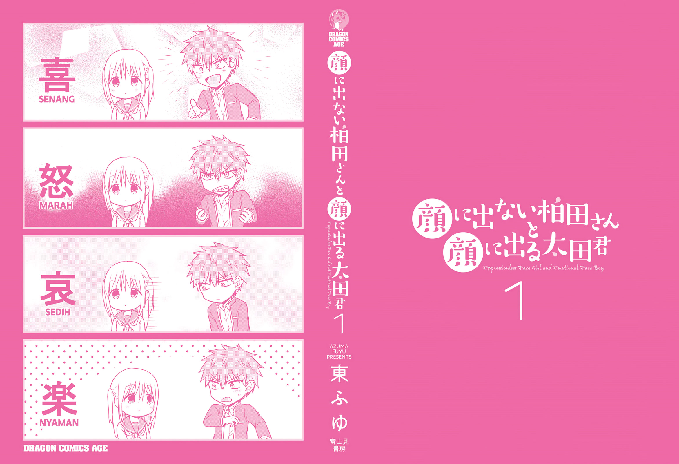 Expressionless Face Girl and Emotional Face Boy Chapter 13.5