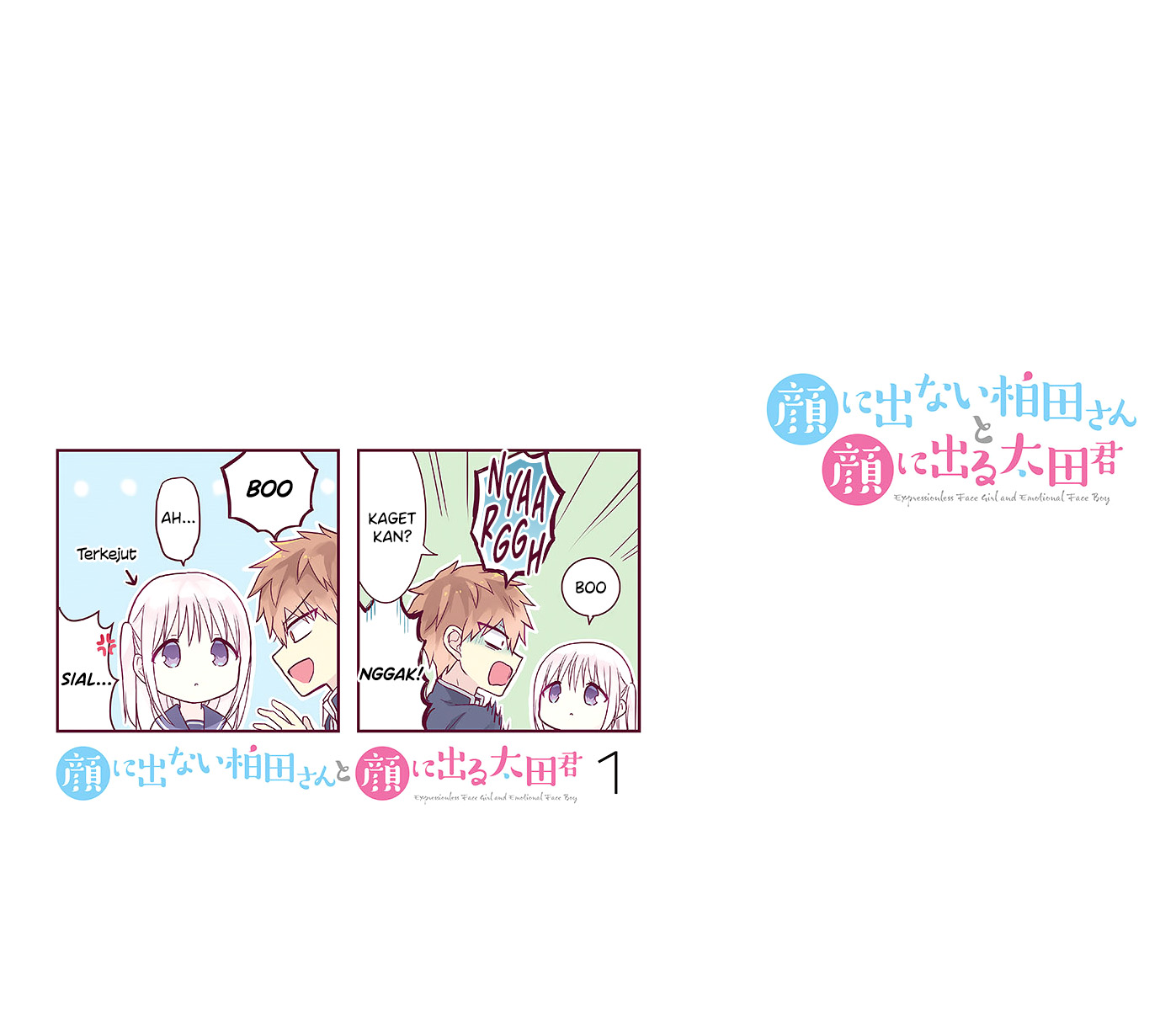 Expressionless Face Girl and Emotional Face Boy Chapter 13.5