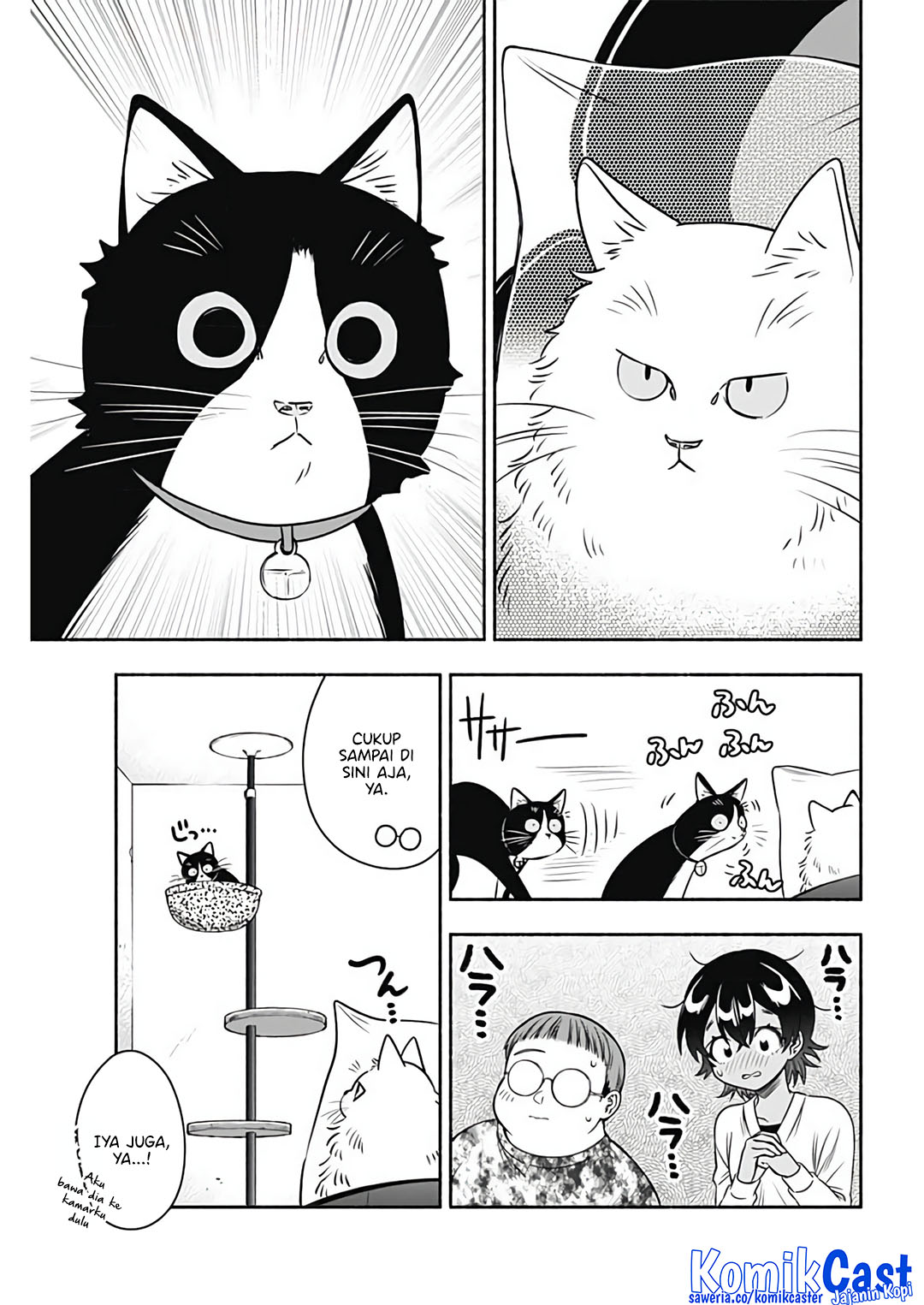 Marriage Gray Chapter 82