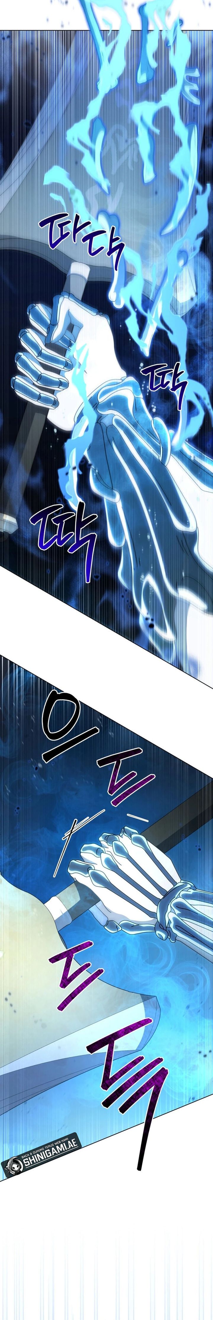 Necromancer Academy’s Genius Summoner Chapter 152