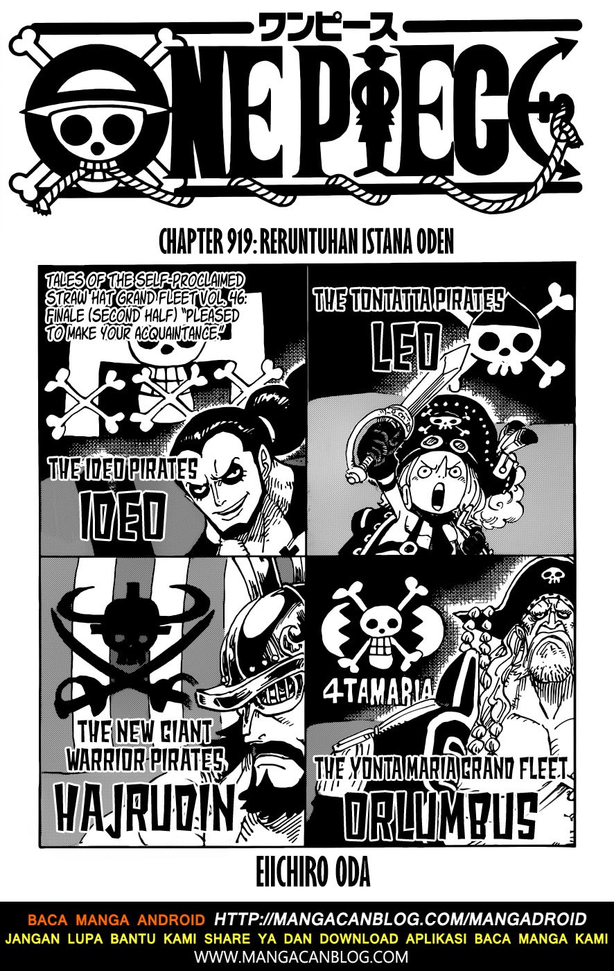 One Piece Chapter 919