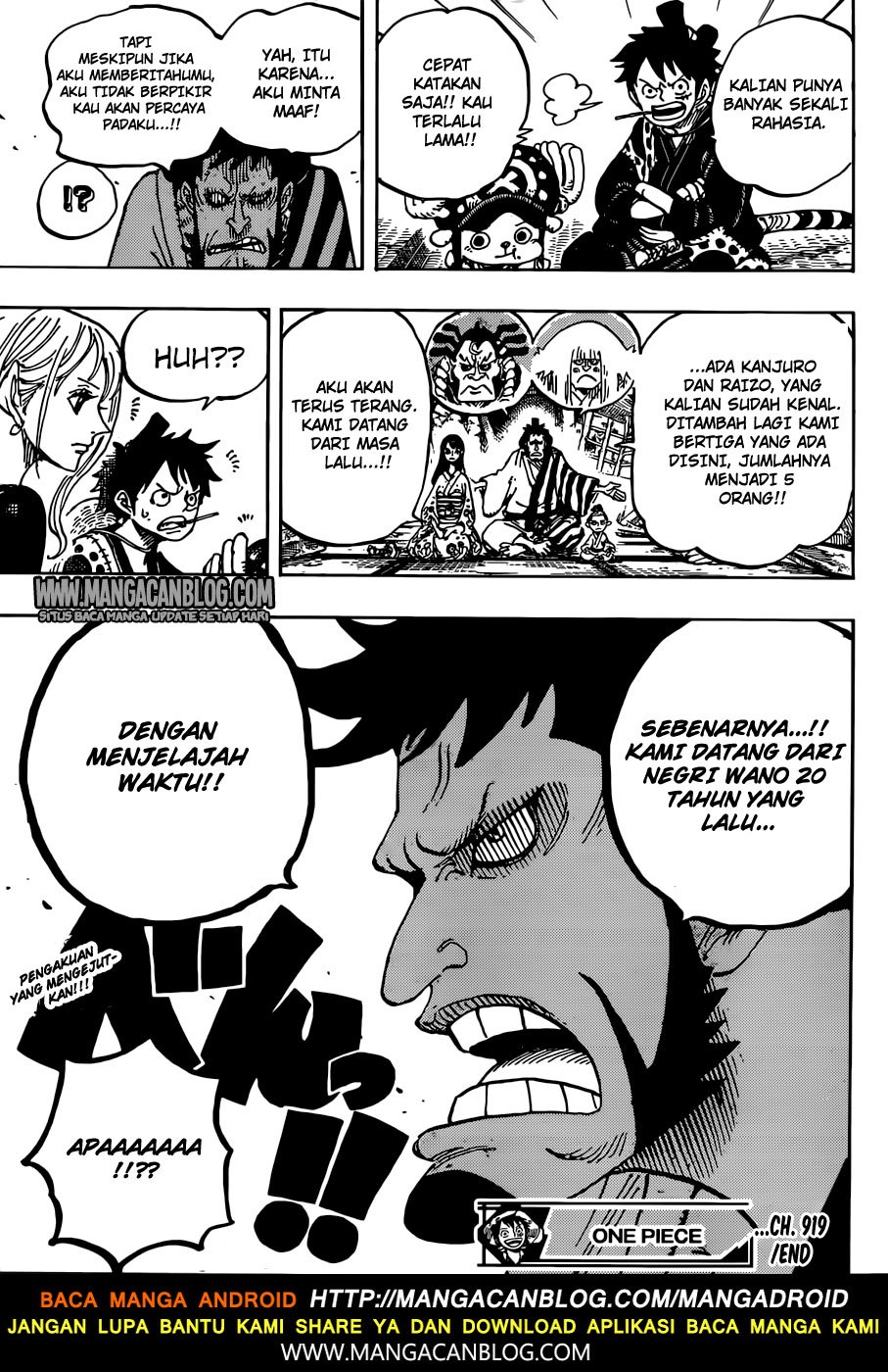 One Piece Chapter 919