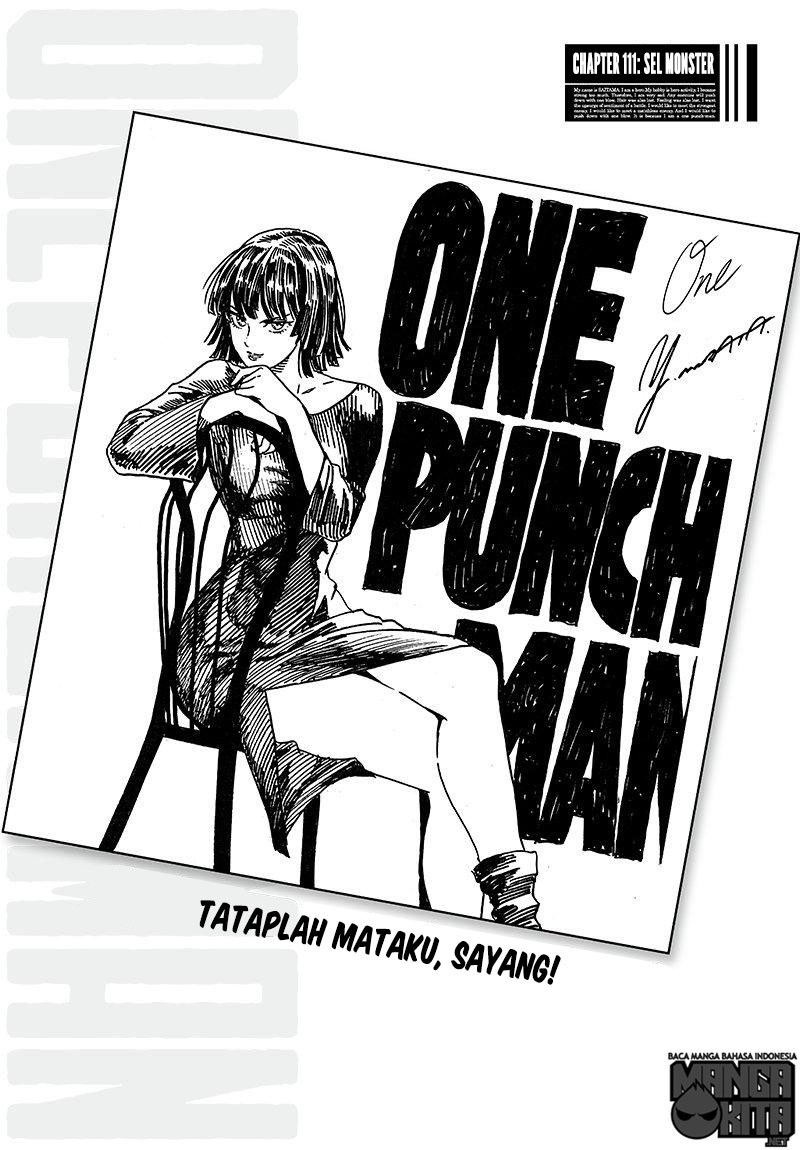 One Punch Man Chapter 111