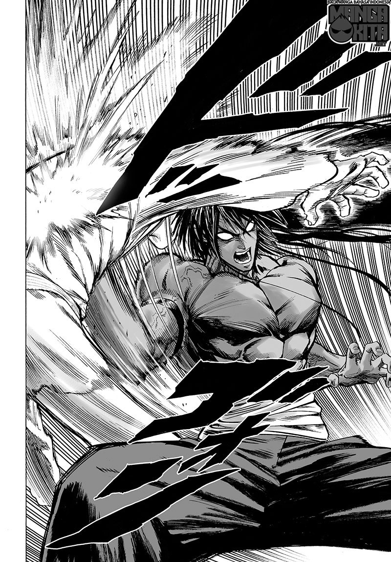 One Punch Man Chapter 113