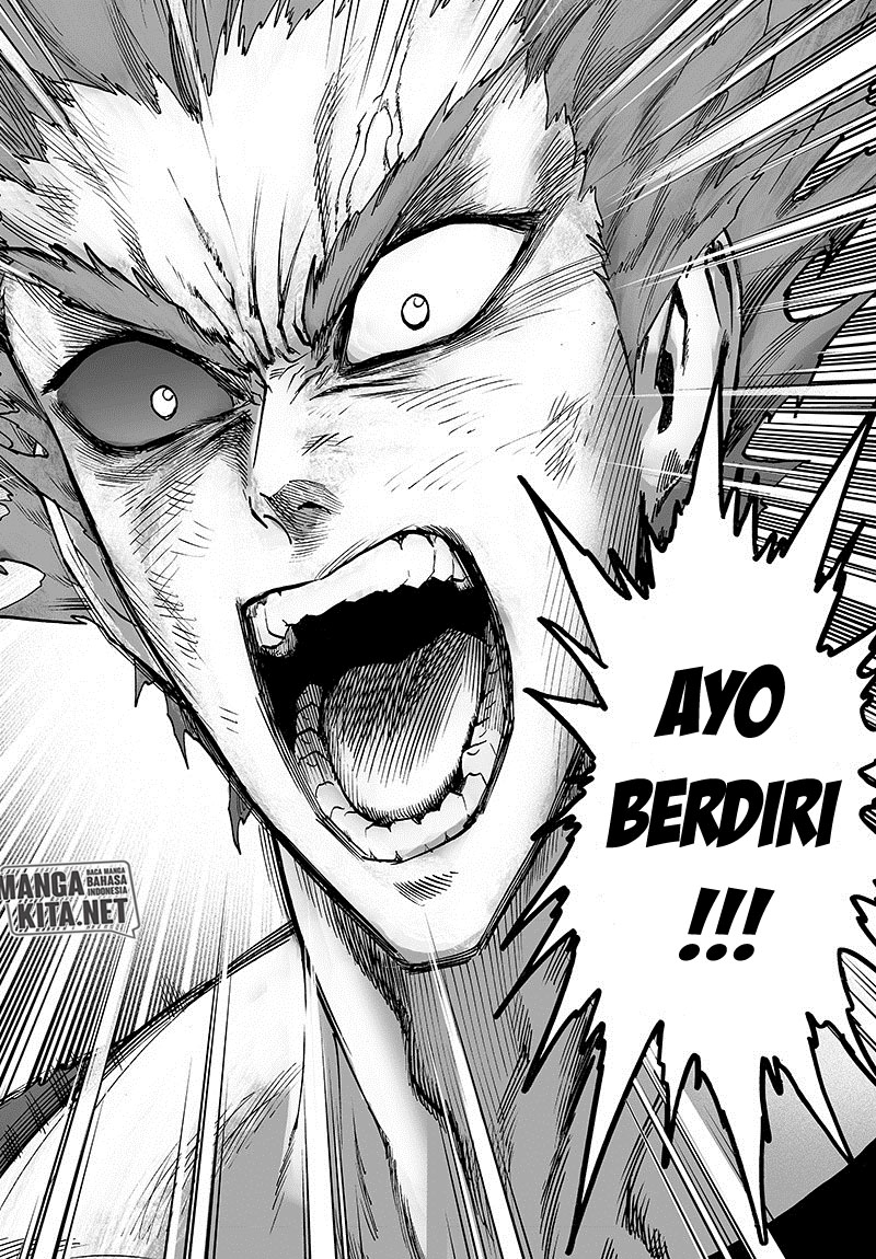 One Punch Man Chapter 133