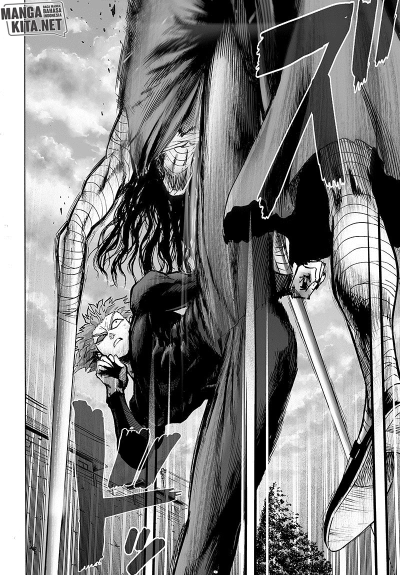 One Punch Man Chapter 133