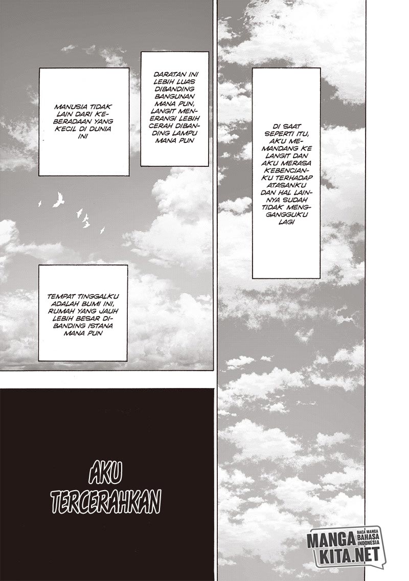 One Punch Man Chapter 160
