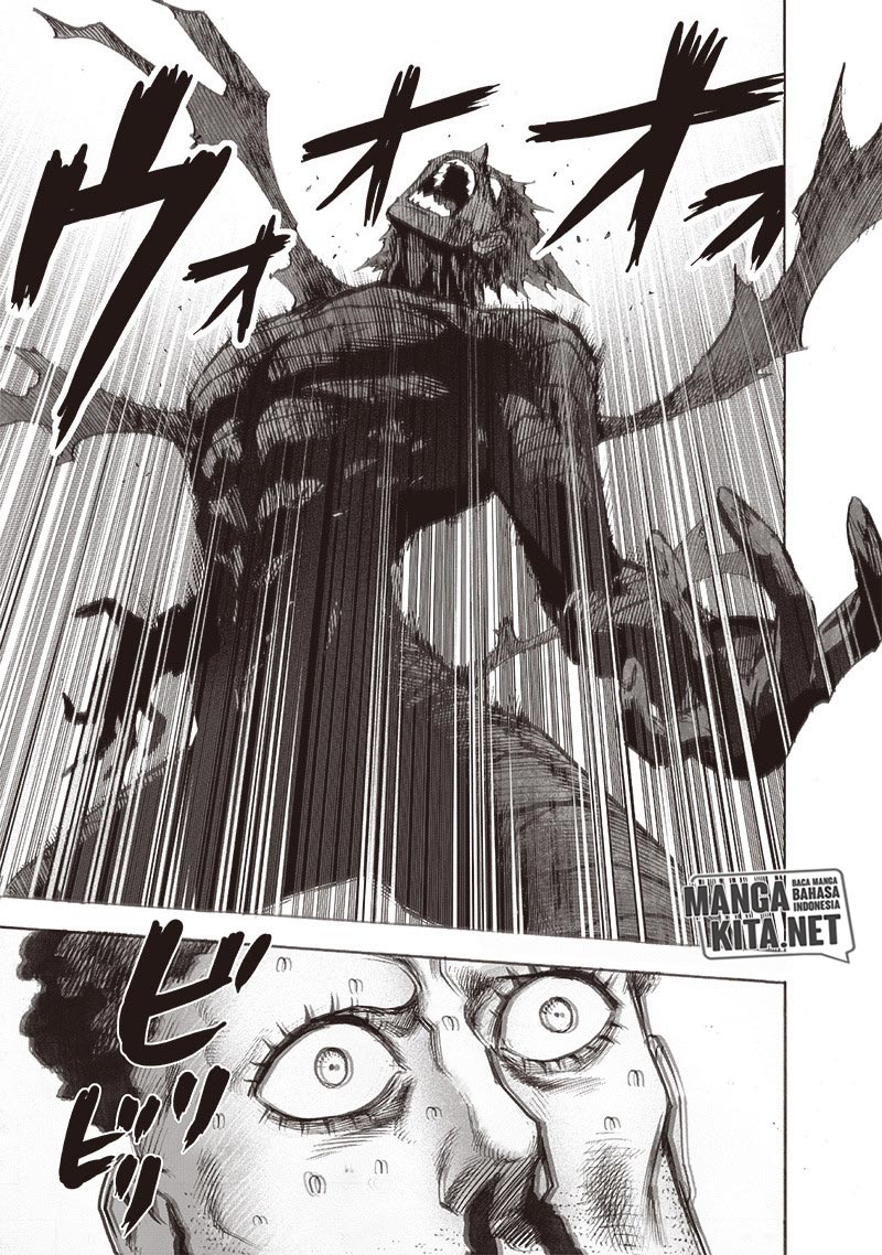 One Punch Man Chapter 162