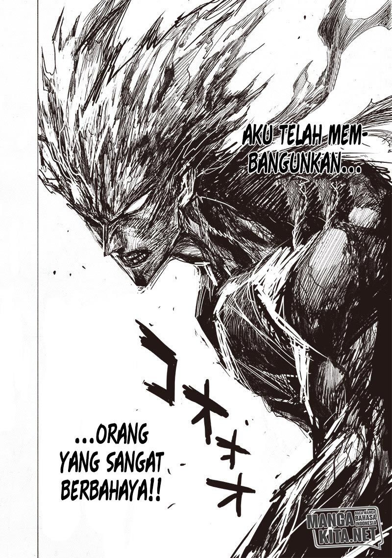 One Punch Man Chapter 162