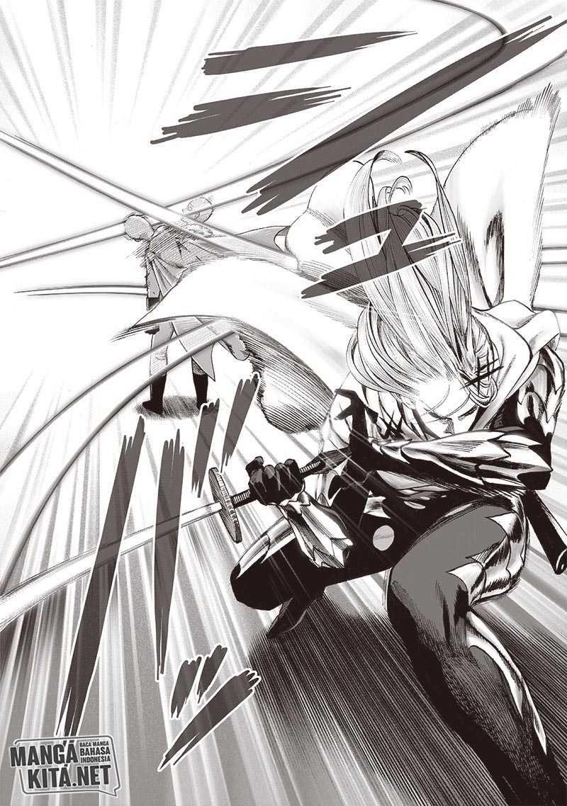 One Punch Man Chapter 162