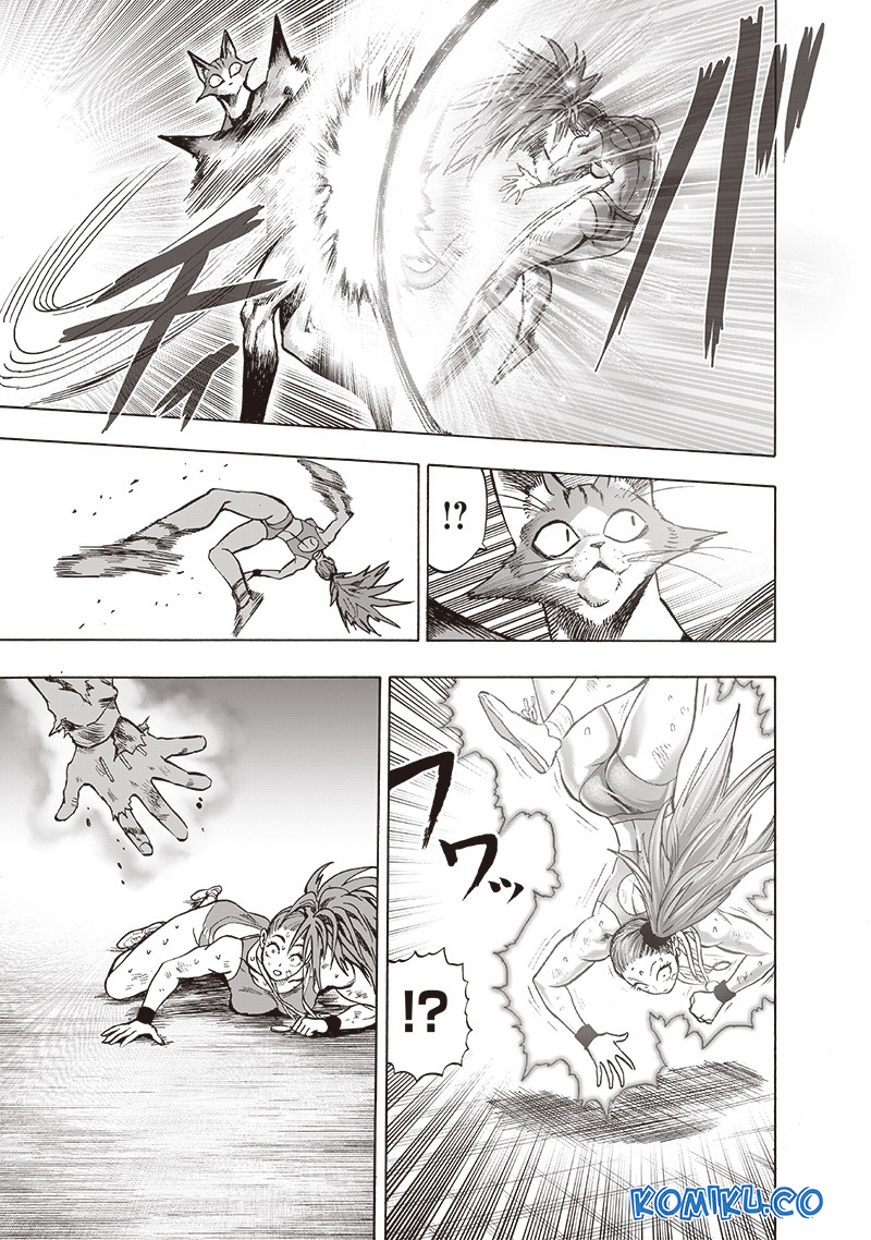 One Punch Man Chapter 164