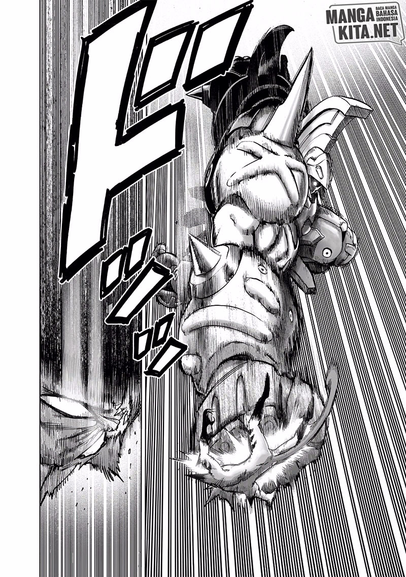 One Punch Man Chapter 165