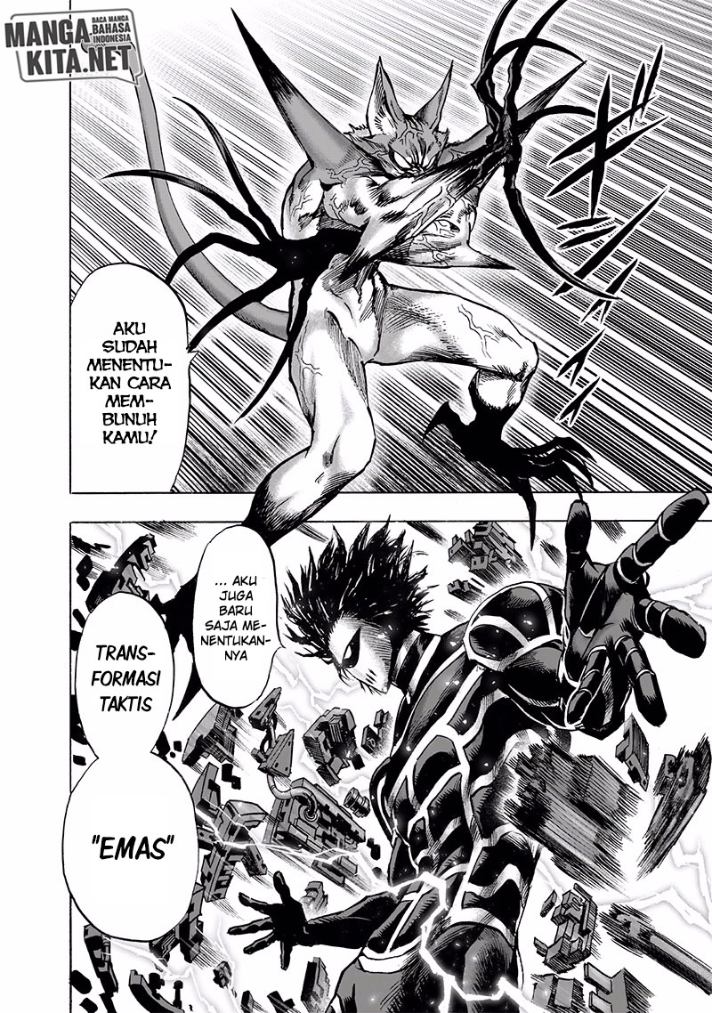 One Punch Man Chapter 165