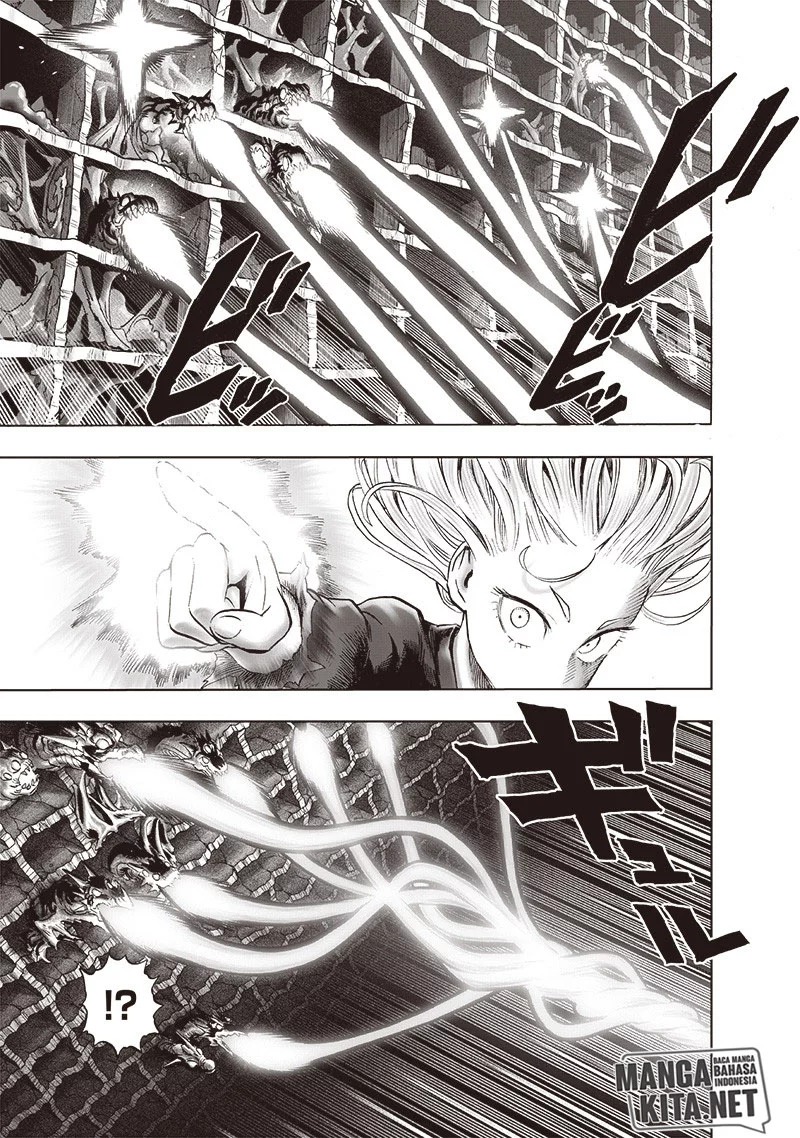 One Punch Man Chapter 176