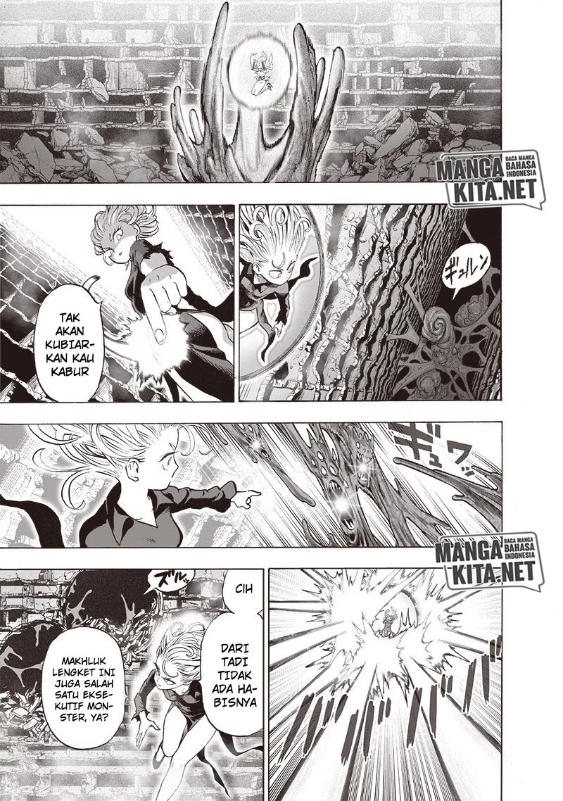 One Punch Man Chapter 176