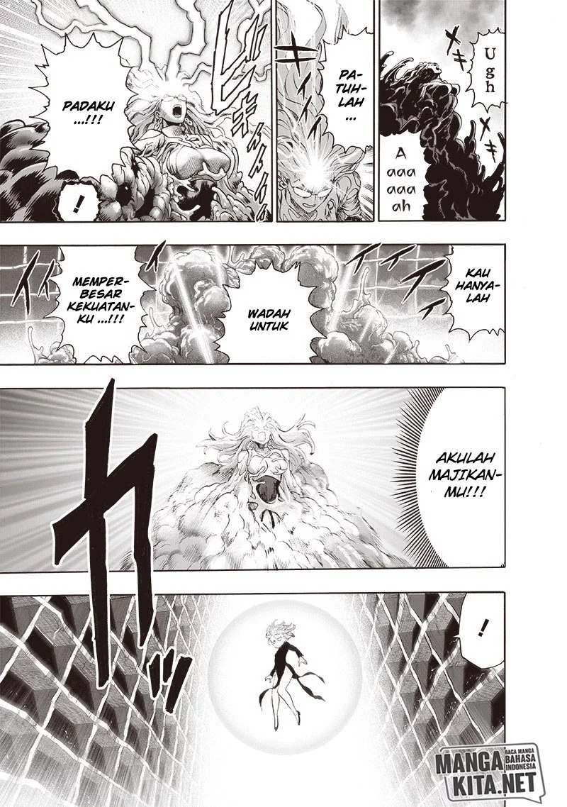One Punch Man Chapter 176