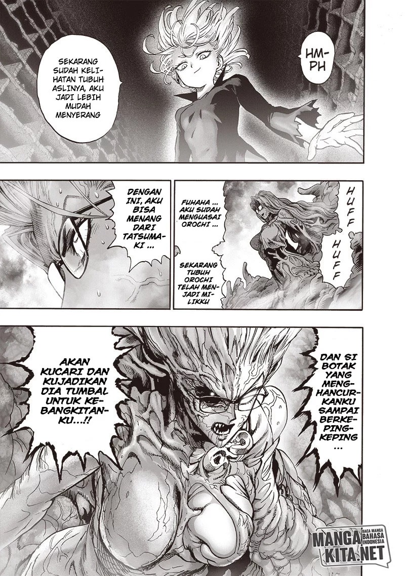 One Punch Man Chapter 176