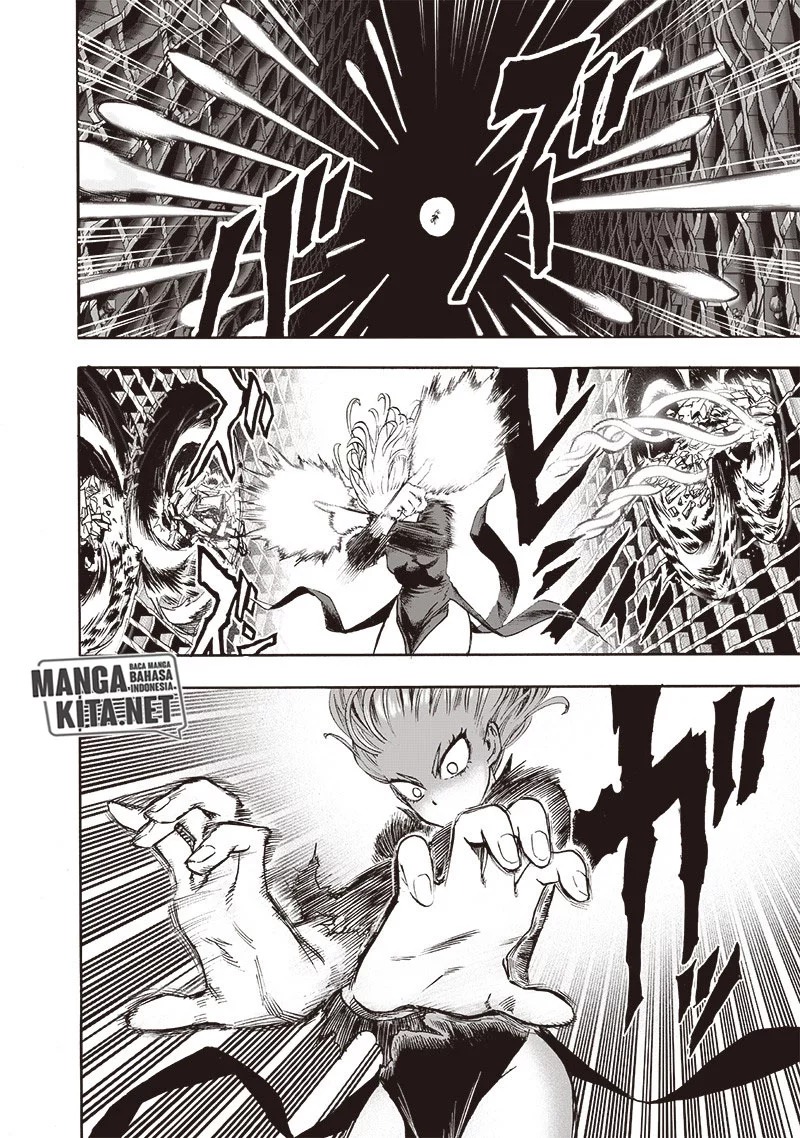 One Punch Man Chapter 176
