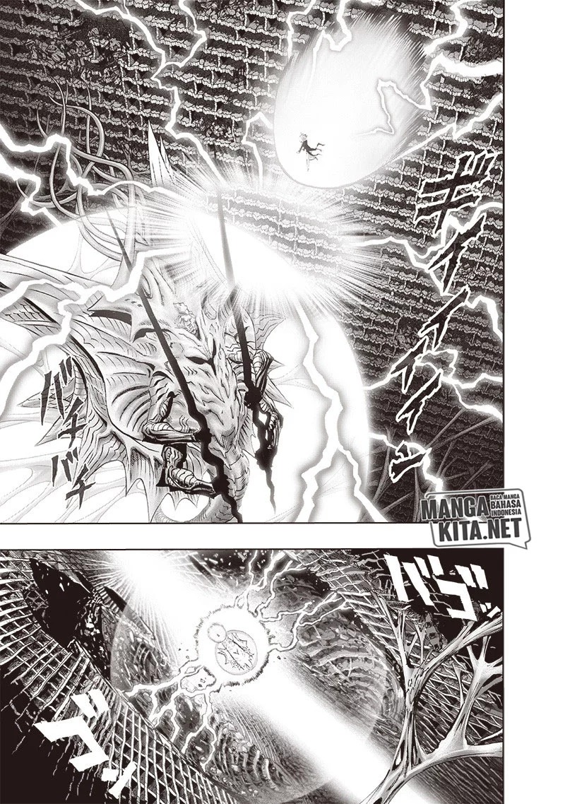 One Punch Man Chapter 176