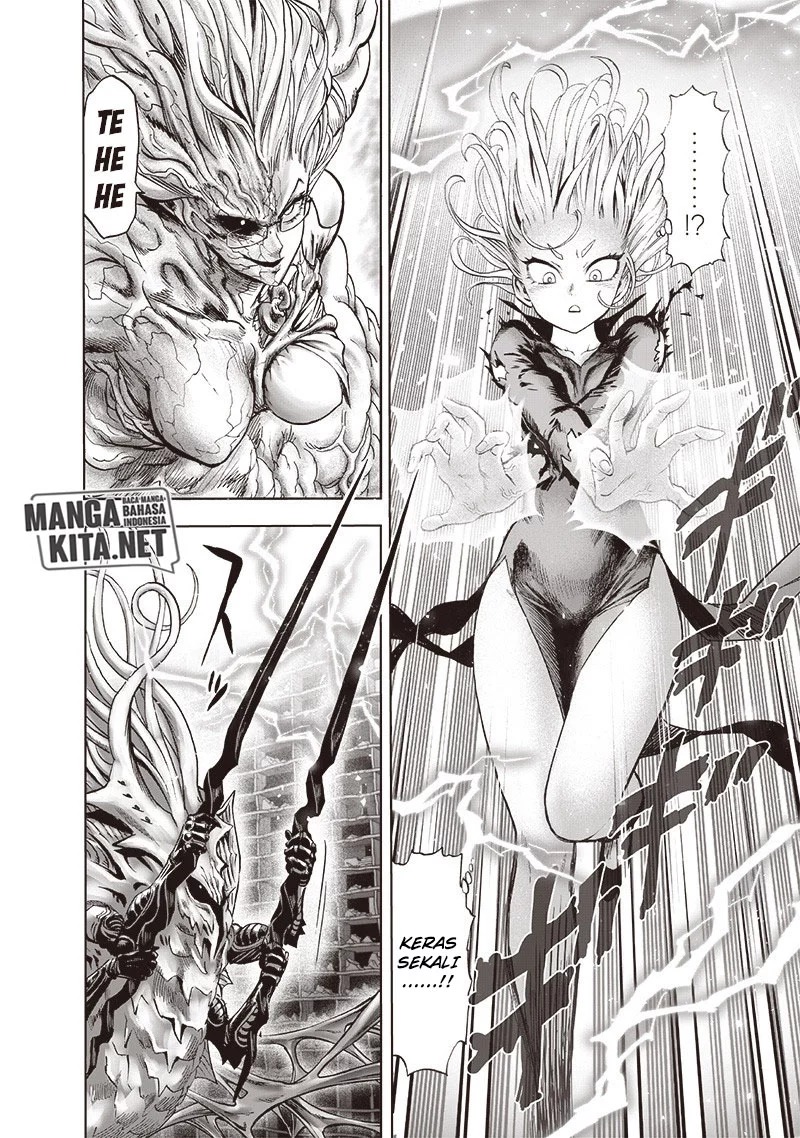 One Punch Man Chapter 176