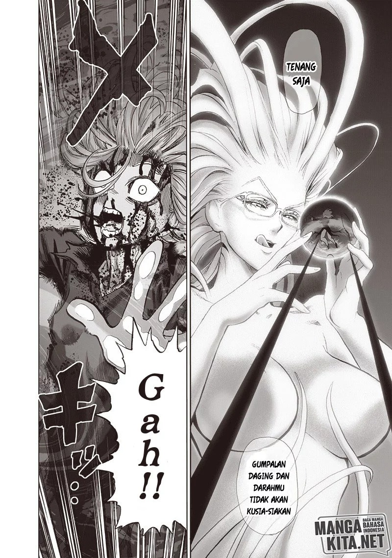 One Punch Man Chapter 176