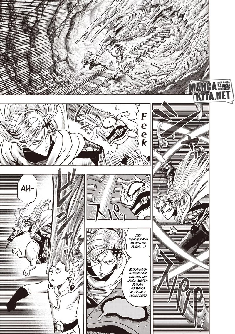 One Punch Man Chapter 176