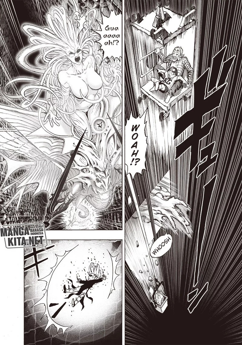 One Punch Man Chapter 176