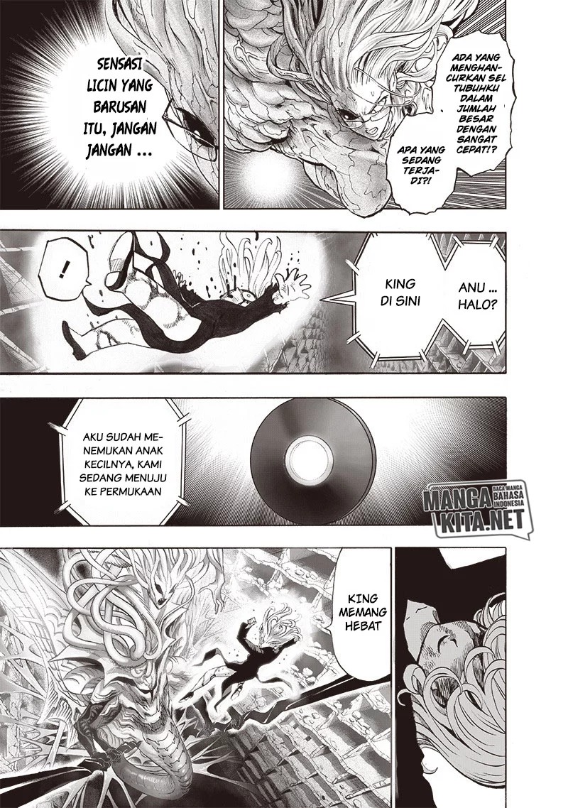 One Punch Man Chapter 176