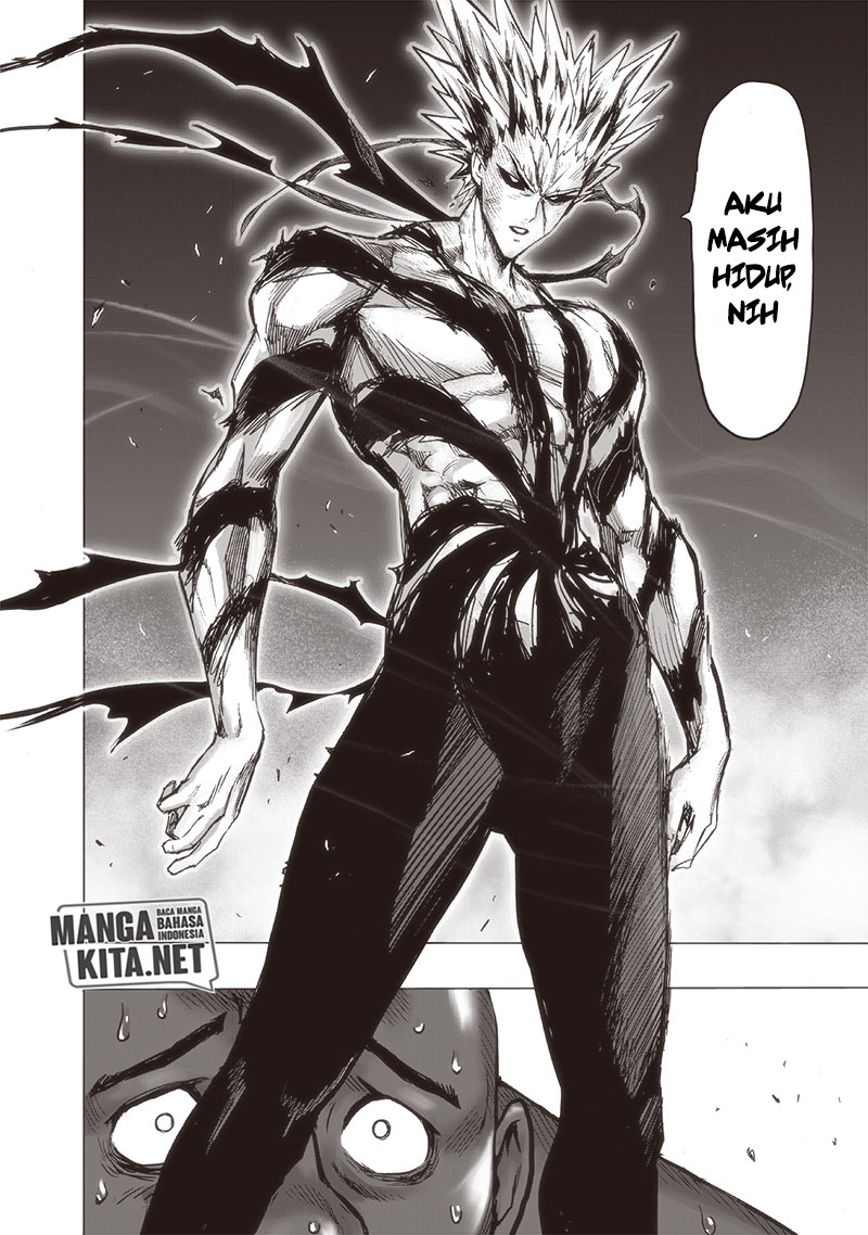 One Punch Man Chapter 177