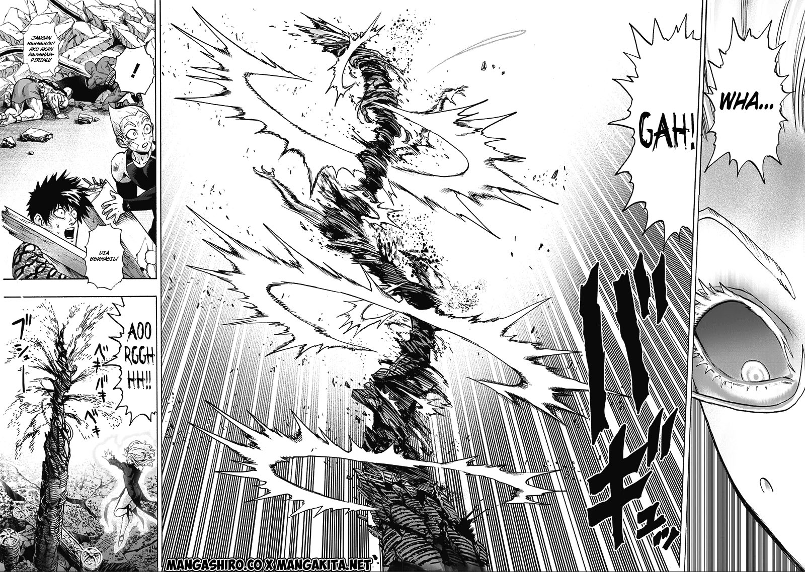 One Punch Man Chapter 182