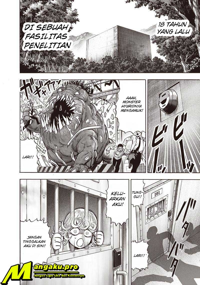 One Punch Man Chapter 187