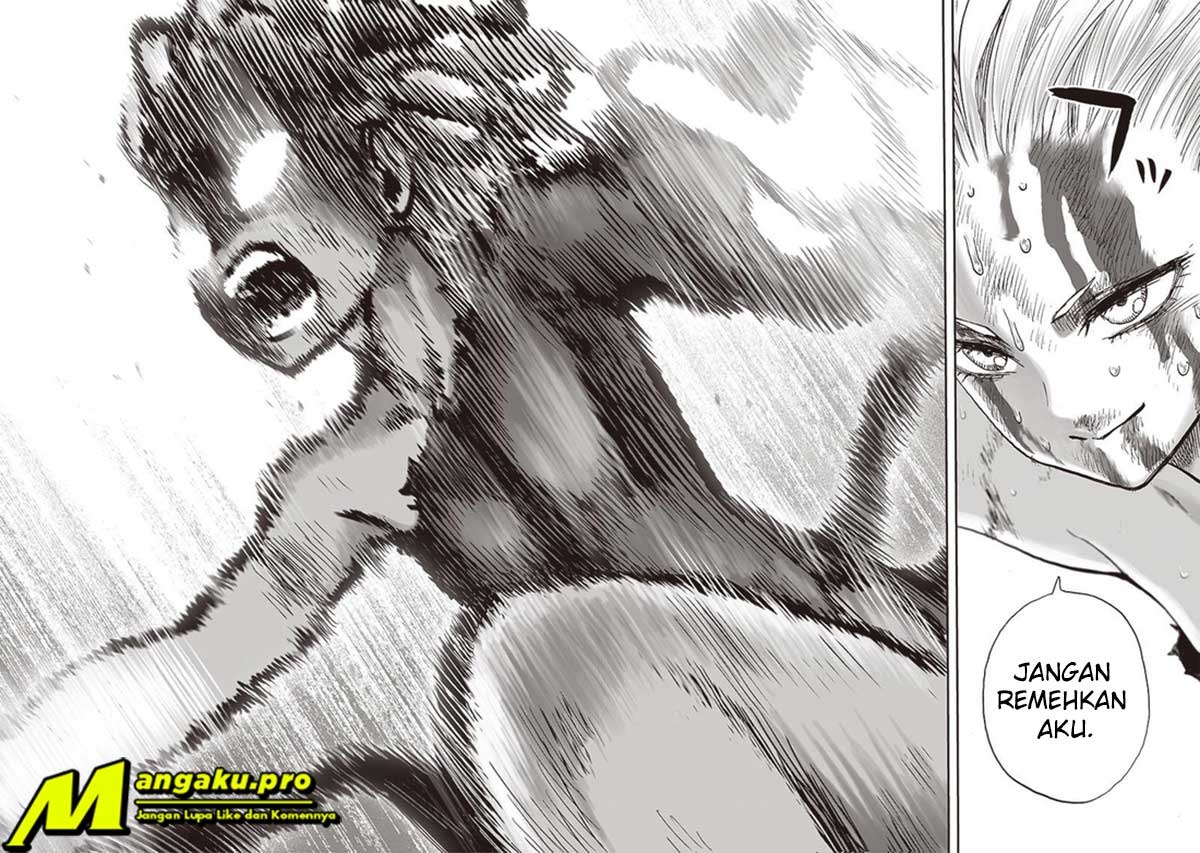 One Punch Man Chapter 187