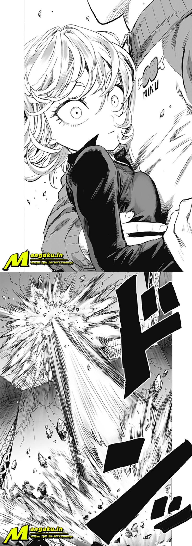 One Punch Man Chapter 228