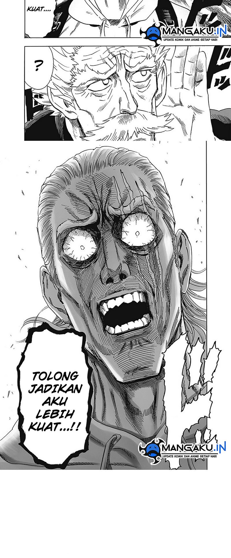 One Punch Man Chapter 241