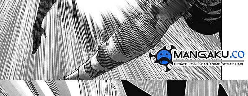 One Punch Man Chapter 247