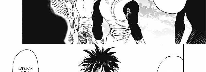 One Punch Man Chapter 248