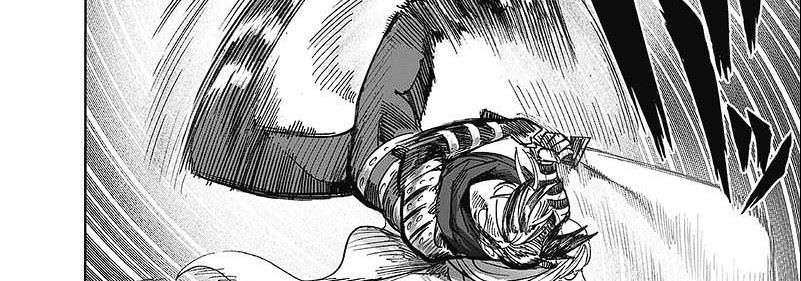 One Punch Man Chapter 248
