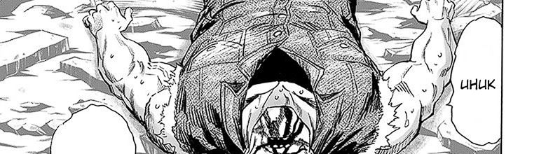One Punch Man Chapter 250