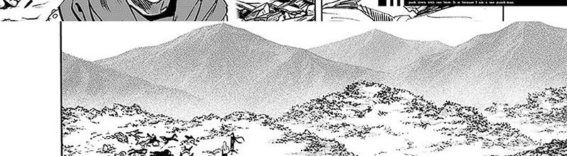 One Punch Man Chapter 250
