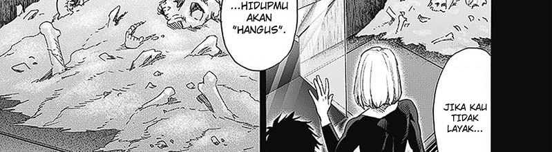 One Punch Man Chapter 250