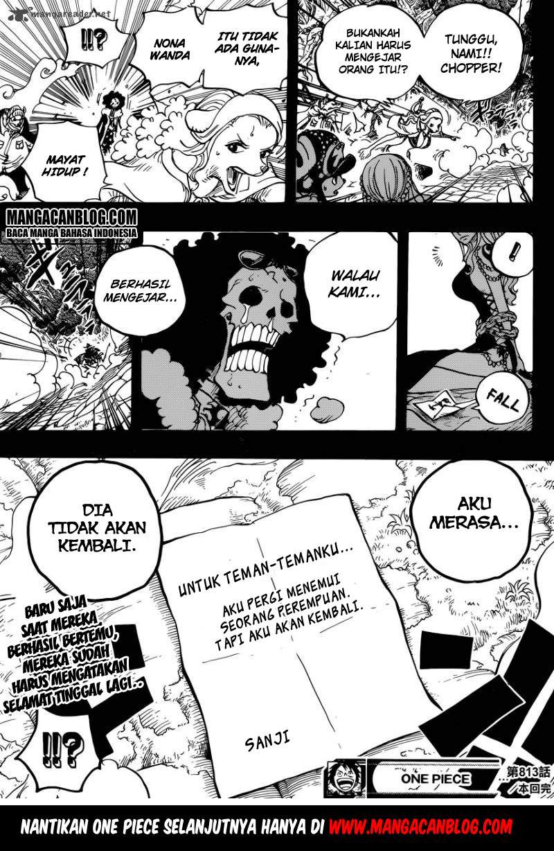 One Piece Chapter 813