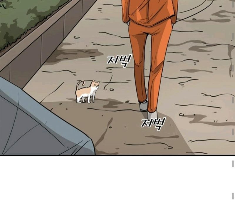 Shark Chapter 54