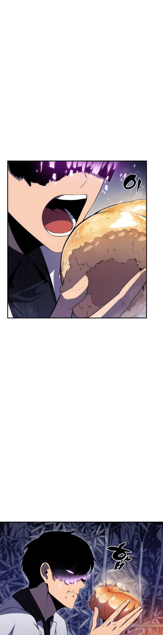 Solo Max-Level Newbie Chapter 43