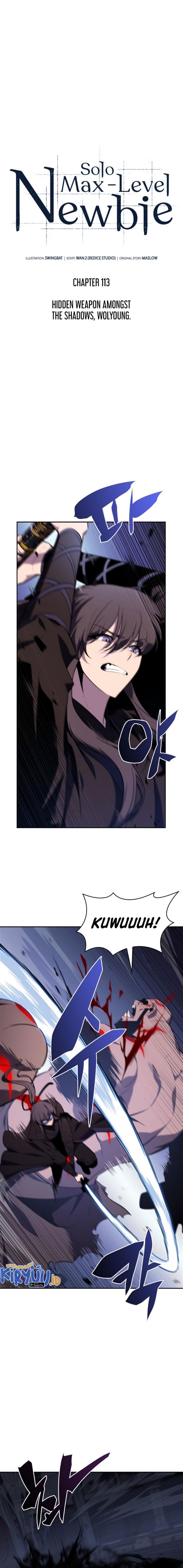 Solo Max-Level Newbie Chapter 113