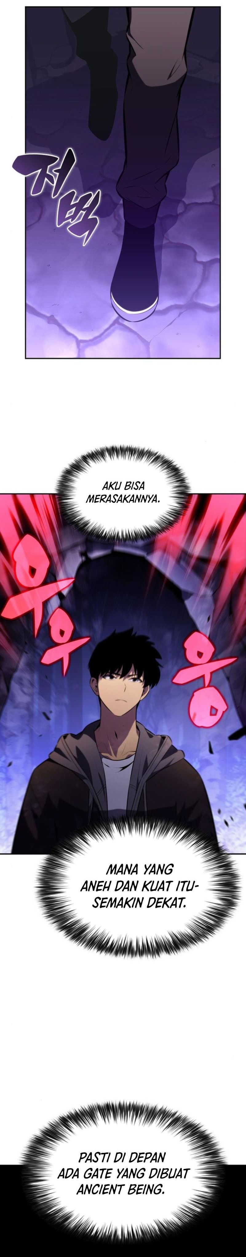 Solo Max-Level Newbie Chapter 207