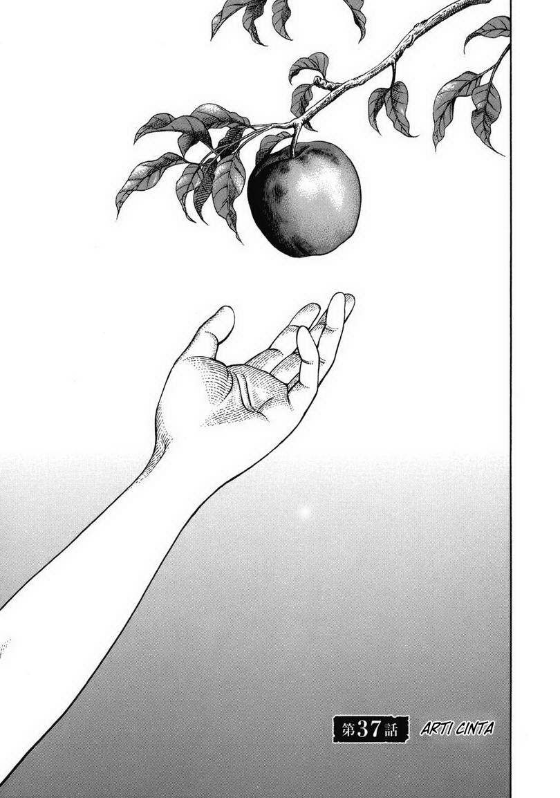 Vinland Saga Chapter 37